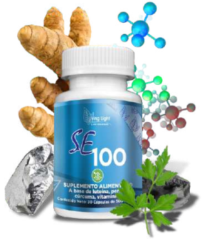 SE 100